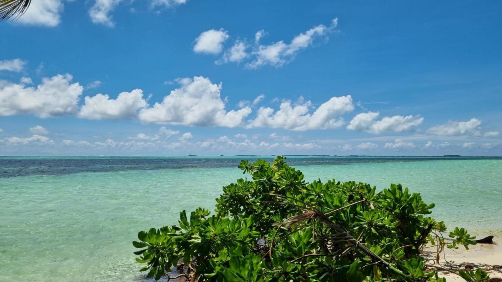 Avanti Surf & Stay Vaadhoo  Exterior photo