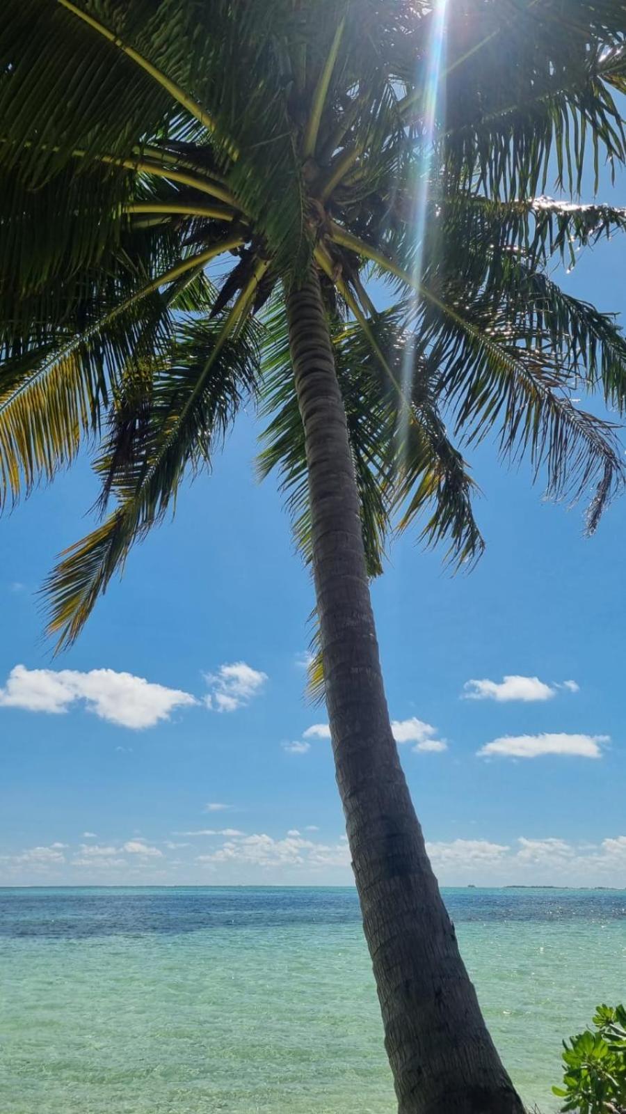 Avanti Surf & Stay Vaadhoo  Exterior photo